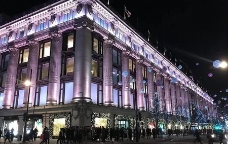 London's City Lights by Night Private Tour