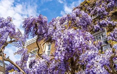 Interactive Treasure Hunt Experience of Kensington's Secrets