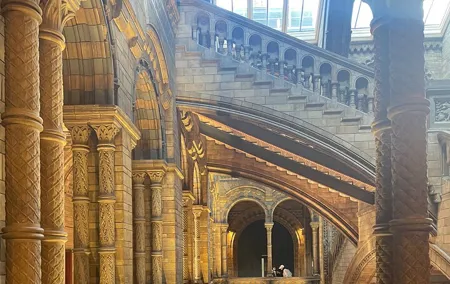 Women in the Natural History Museum