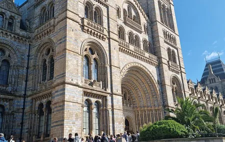 Discover the Natural Marvels of London A Museum Visit