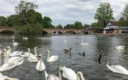 Private Full-Day Tour of Shakespeare's Stratford-Upon-Avon