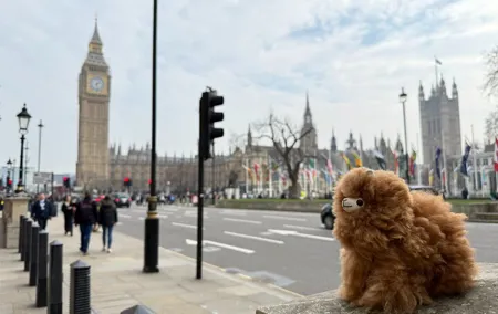 Royal London Westminster and Palaces Private Guided Walking Tour