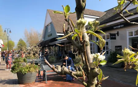 Bicester Village Private Guided Shopping Experience