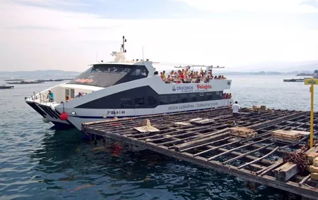 Rias Baixas Tour with Winery and Boat (optional)