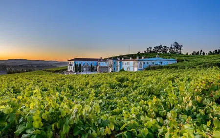 Guided tour of Bodegas Granbazán