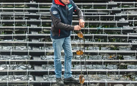 Rías Baixas Private Tour with Wine Tasing, Food, Mussels Boat and Pickup