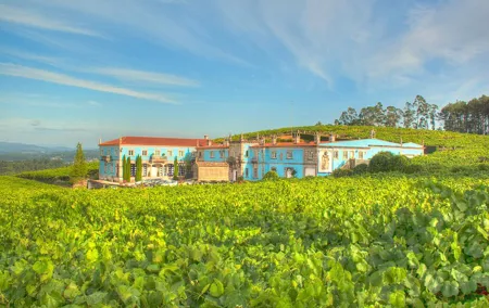 Albariño Private Wine Tour from Santiago de Compostela