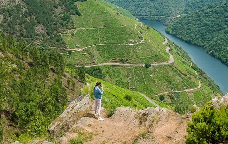 Ribeira Sacra, "Heroic Wines" Private Tour from Santiago