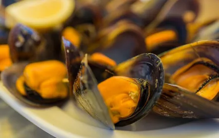 Private Gastronomical Tour in Santiago de Compostela