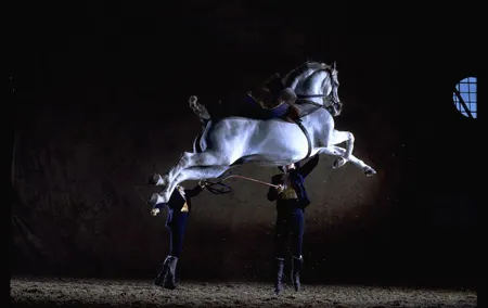 Andalusian Horses Dance Show