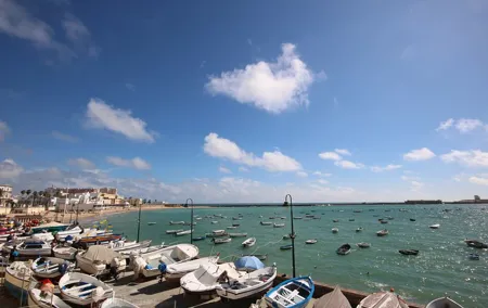 Cadiz Shore Excursion: Scenic & walking tour with cheese and sherry tasting