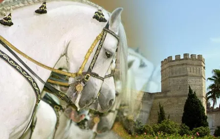 Jerez Historic Guided Tour with Horse Show