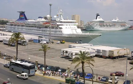Private Day Trip from Cadiz port to Seville (tickets and transport included)