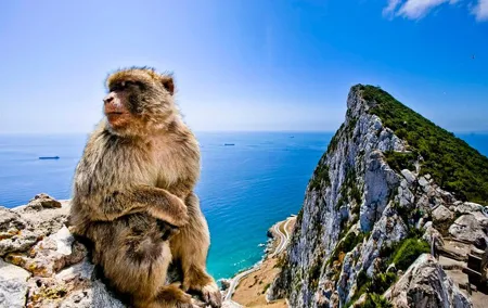 *Private Day Trip* Gibraltar & Bolonia from Cádiz