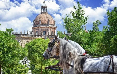 Jerez de la Frontera History and Art Walking Tour