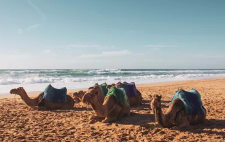 Private Tour from Cadiz to Tangier & Asilah with Pick Up and Drop Off