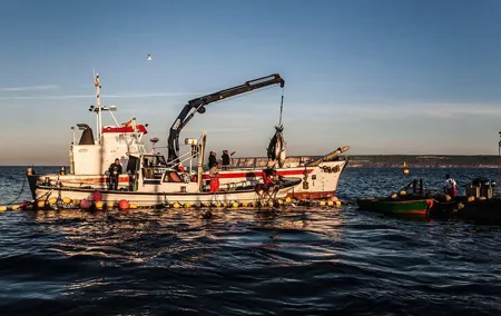 Barbate Almadraba Bluefin Tour