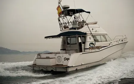 Fishing in the Strait of Gibraltar