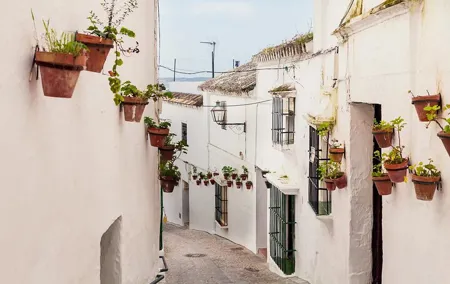 Private 8-Hour Tour of Cadiz and White Villages from Cadiz