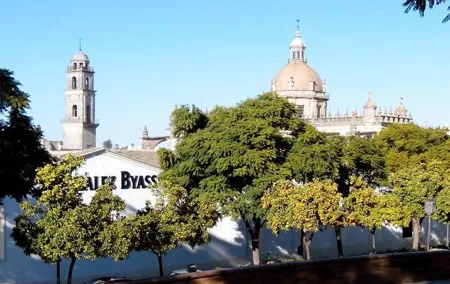 Walking tour in Jerez