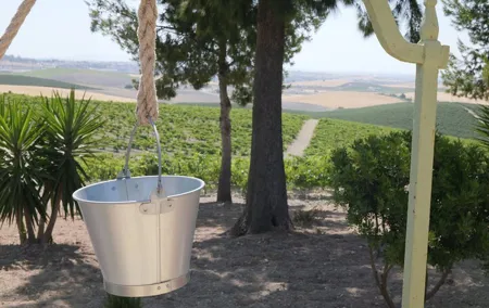 Winery and Flamenco in Jerez Discover its Tradition and Culture