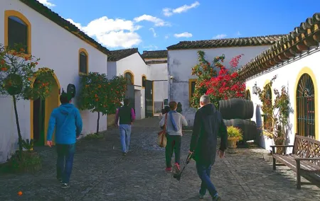 Discover Sherry in Jerez