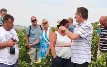 Sherry Experience in the Vineyard