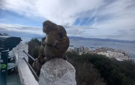 Private Tour to Gibraltar
