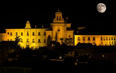 guided night tour