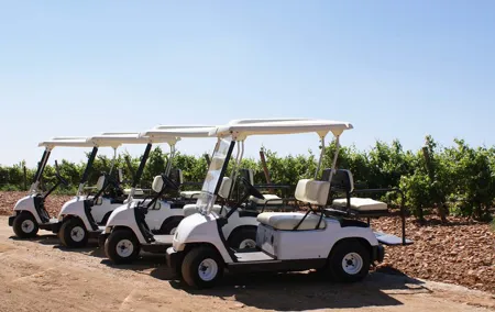 Wine tourism: Wine tasting