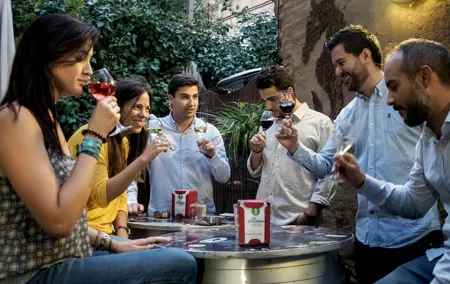 Wine Tasting and Tapas in the ancient Town of Zaragoza