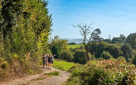 Taste of the Camino de Santiago