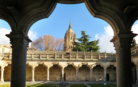 Complete Private Guided Tour of the City of Salamanca