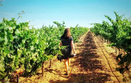 Discover the authentic wine culture of Rueda
