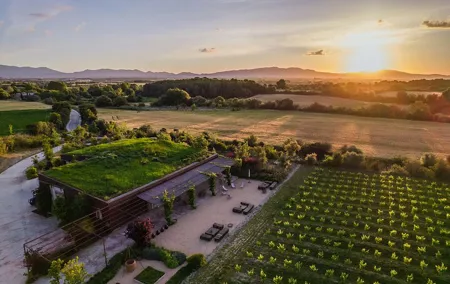 Vineyard walk and wine tasting in l’Empordà