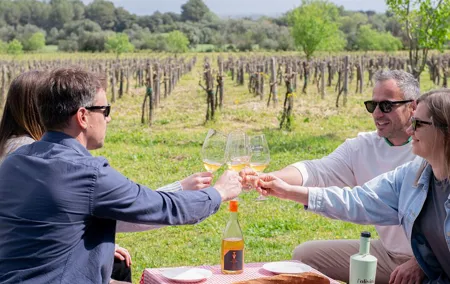 Picnic and wine tasting among the vineyards in l'Empordà