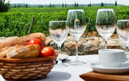 Wines Tasting and Typical Breakfast Small Group Tour from Girona