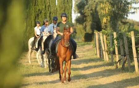Horseback Ride and Wine Tasting Adventure
