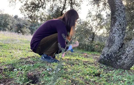 Half Day Gastronomic Wild Walk in Girona