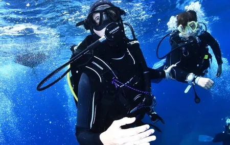 Refreshment Diving Course Experience in L'Estartit