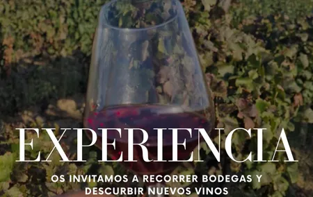 Private Full Day Tour in Alt Empordà with Wine Tasting