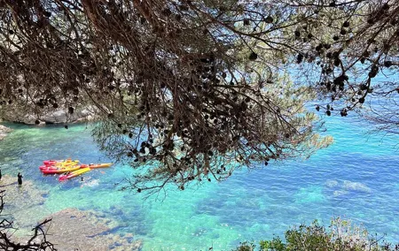 Awaken the Adventure! Kayak at 8am