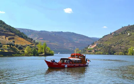 Douro Valley Tour: 2 Vineyard Visits, River Cruise, Winery Lunch
