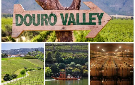 Douro Valley Tour: Wine Tasting, Cruise and Lunch from Porto