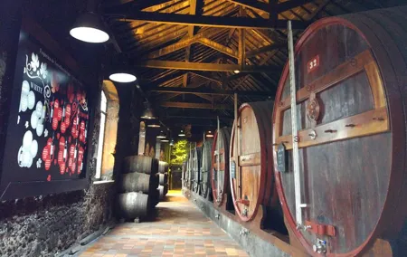 Port Wine Lodges Tour Including 7 Port Wine Tastings (English)