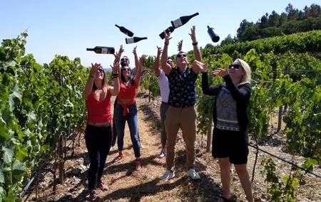 Douro Valley Small-Group Tour with Wine Tasting, Lunch and Boat