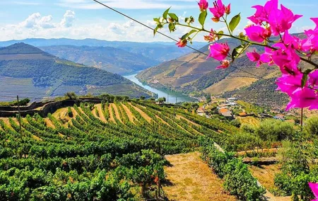 Douro Valley Wine Tour with Wineries, Lunch and Boat Trip