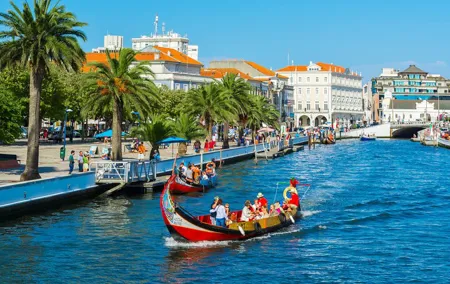 Aveiro and Costa Nova Half Day Tour from Porto with Boat Ride