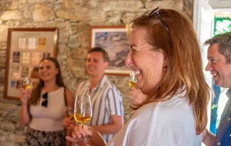 Private Douro Valley Wine Tour: 2 Wine Estates, Lunch and Cruise