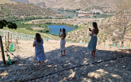 Douro Valley Tour: Wine Tasting River Cruise and Lunch from Porto